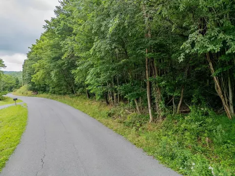 tbd Cubbage Hollow Rd, Stanley, VA 22851 photo 13