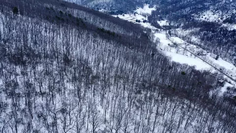 tbd Cubbage Hollow Rd, Stanley, VA 22851 photo 31
