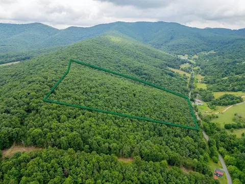 tbd Cubbage Hollow Rd, Stanley, VA 22851 photo 4
