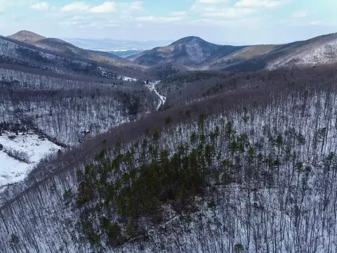 tbd Cubbage Hollow Rd, Stanley, VA 22851 photo 15