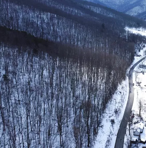 tbd Cubbage Hollow Rd, Stanley, VA 22851 photo 38