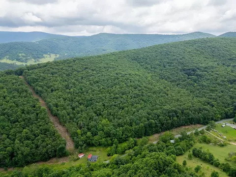 tbd Cubbage Hollow Rd, Stanley, VA 22851 photo 11