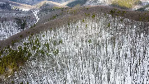 tbd Cubbage Hollow Rd, Stanley, VA 22851 photo 28