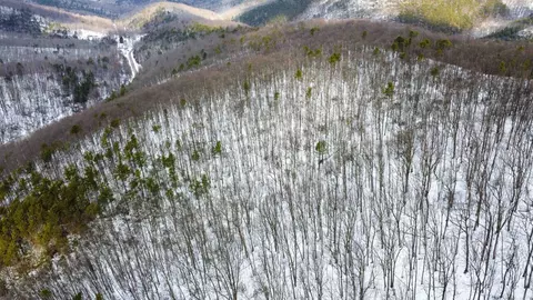 tbd Cubbage Hollow Rd, Stanley, VA 22851 photo 28