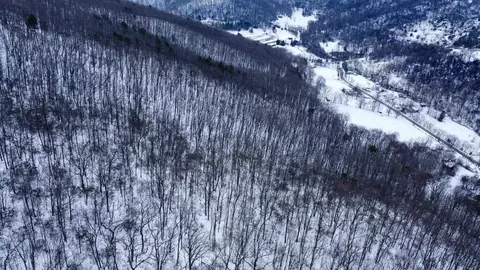 tbd Cubbage Hollow Rd, Stanley, VA 22851 photo 31