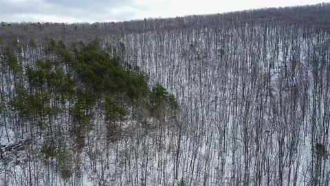 tbd Cubbage Hollow Rd, Stanley, VA 22851 photo 26