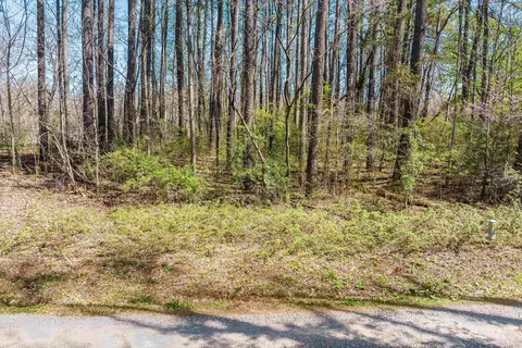 tbd Shipyard Rd, Shenandoah, VA 22849 photo 20