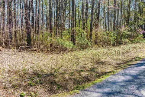 tbd Shipyard Rd, Shenandoah, VA 22849 photo 19
