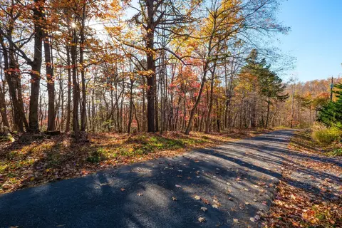 Old Stony Ridge Rd, Afton, VA 22920