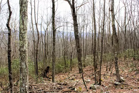 S High Valley Dr, Monterey, VA 24465