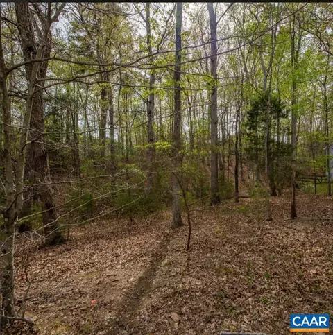 0 Turkeysag Trl, Palmyra, VA 22963