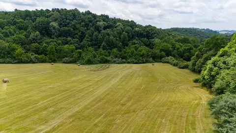 25 Koogler Trl, Raphine, VA 24472 photo 3