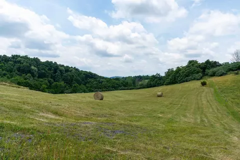 25 Koogler Trl, Raphine, VA 24472 photo 16