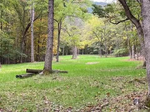 81 5 Acres Hopkins Gap Rd, Fulks Run, VA 22830