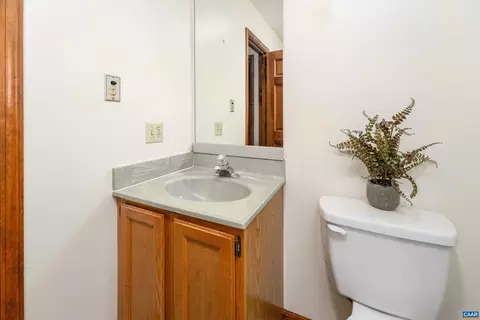 4 Nutwood Cir, Palmyra, VA 22963 photo 30