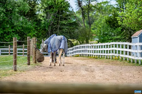 12500 Shannon Hill Rd, Louisa, VA 23093