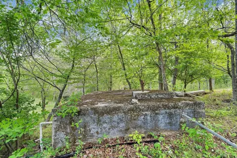 Other - 649 Greyledge Rd, Buchanan, VA 24066 photo 12 of 23