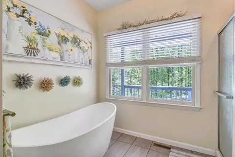 Bath - 649 Greyledge Rd, Buchanan, VA 24066 photo 3 of 9