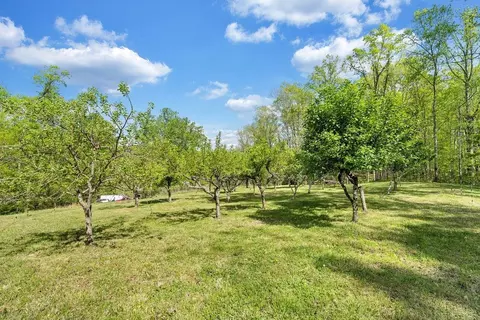 Exterior - 649 Greyledge Rd, Buchanan, VA 24066 photo 12 of 16