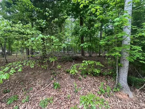 4 E Point Rd, Palmyra, VA 22963 photo 11