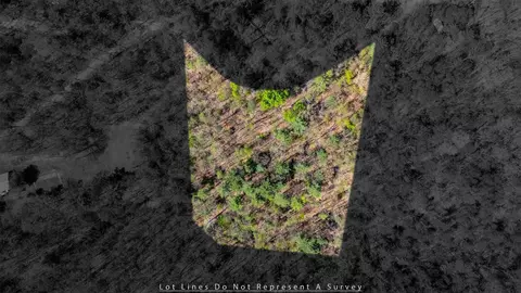 tbd Camp Hollow Ln, Fulks Run, VA 22830