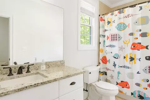 421 Houndstooth Ct, Charlottesville, VA 22901 photo 42