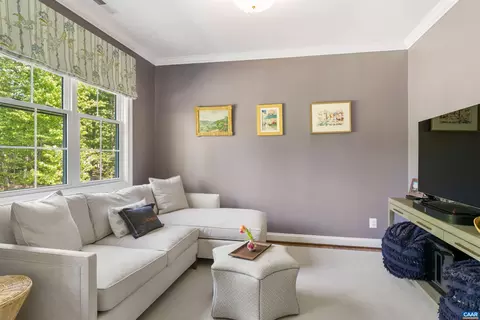 421 Houndstooth Ct, Charlottesville, VA 22901 photo 25