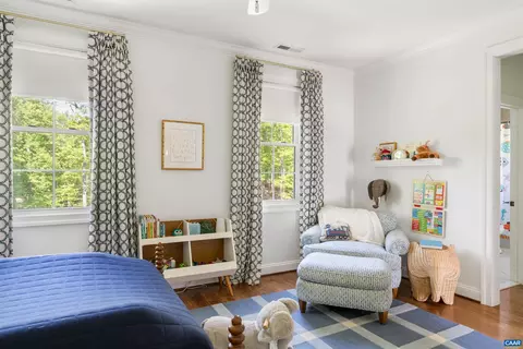 421 Houndstooth Ct, Charlottesville, VA 22901 photo 41