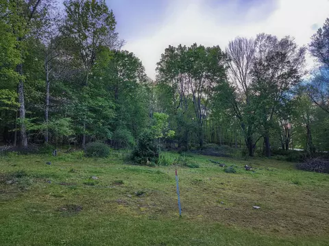 Exterior - 4734 Maple Sugar Rd, Blue Grass, VA 24413 photo 4 of 8