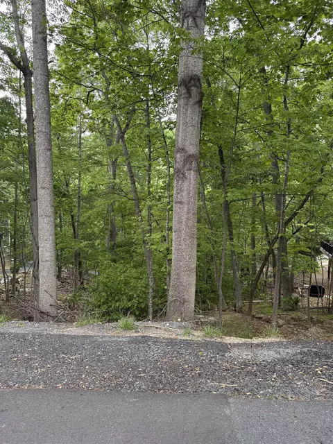 tbd Palmer Rd, Mcgaheysville, VA 22840
