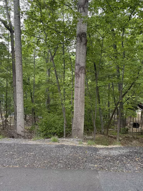 tbd Palmer Rd, Mcgaheysville, VA 22840