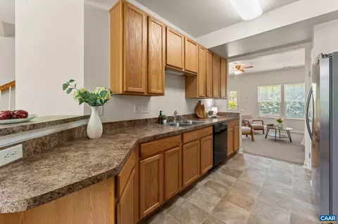 72 Villa Cir, Palmyra, VA 22963 photo 8