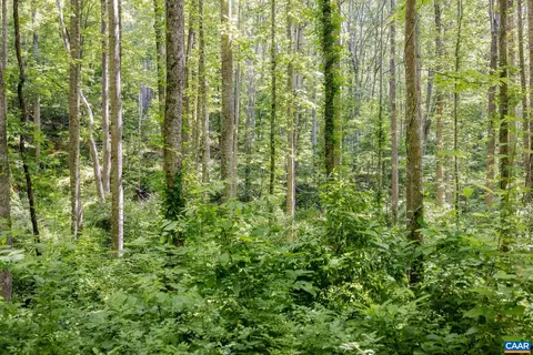 tbd Poorhouse Rd, Charlottesville, VA 22903 photo 10