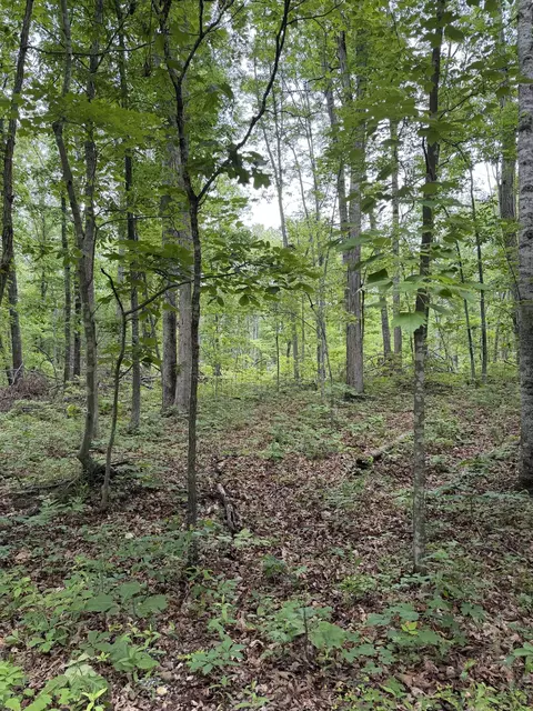 lot50 Lake Dr, Crimora, VA 24431