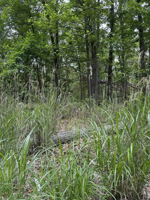 lot52 Lake Dr, Crimora, VA 24431