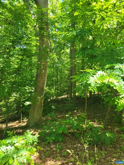 8 Mechunk Ter, Palmyra, VA 22963