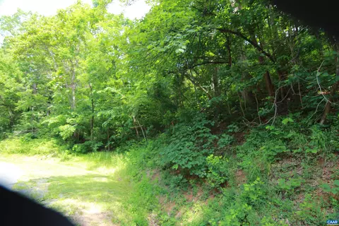 1351 Black Walnut Dr, Nellysford, VA 22958