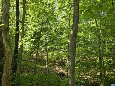 717 Jefferson Dr, Palmyra, VA 22963