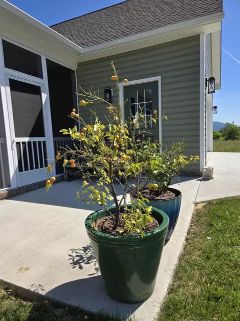 209 Stone Dr, Stuarts Draft, VA 24477 photo 39