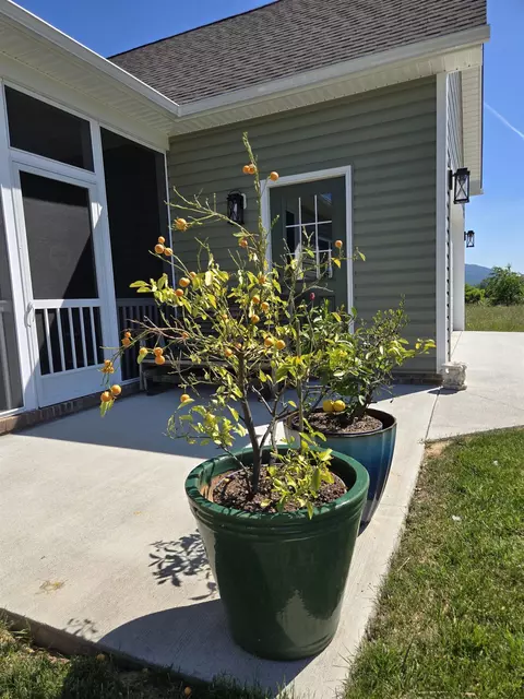 209 Stone Dr, Stuarts Draft, VA 24477 photo 39