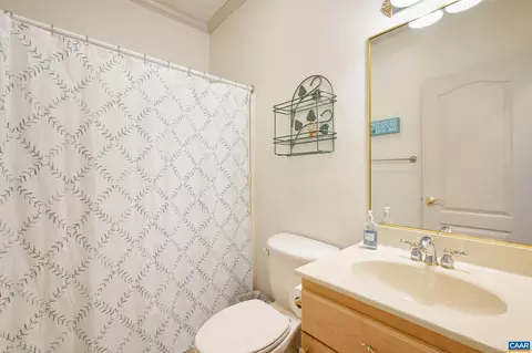 16 Cliftwood Rd, Palmyra, VA 22963 photo 31