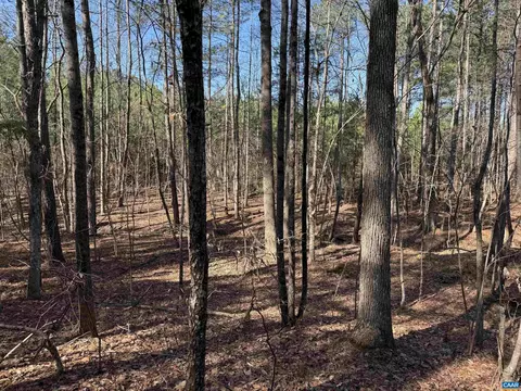 1 Maple Bridge Rd, Dillwyn, VA 23936 photo 5