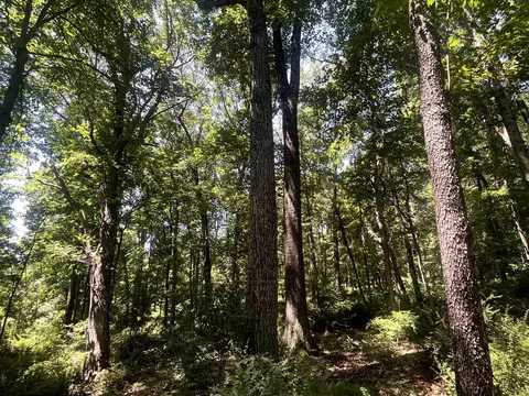 tbd Spottswood Rd, Spotswood, VA 24476