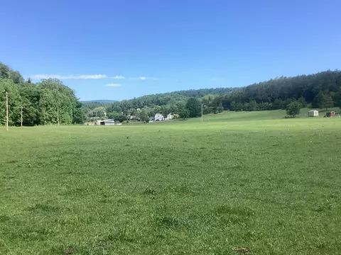 0 Orkney Grade, Mount Jackson, VA 22842