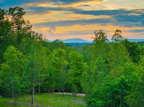 0 Gilbert Station Rd, Barboursville, VA 22923