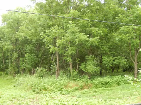 898 Sandy Bottom Rd, Elkton, VA 22827