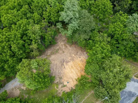 456 Dabneys Rd, Raphine, VA 24472 photo 2