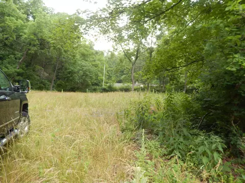 43 Cody Ln, Mount Solon, VA 22843 photo 2