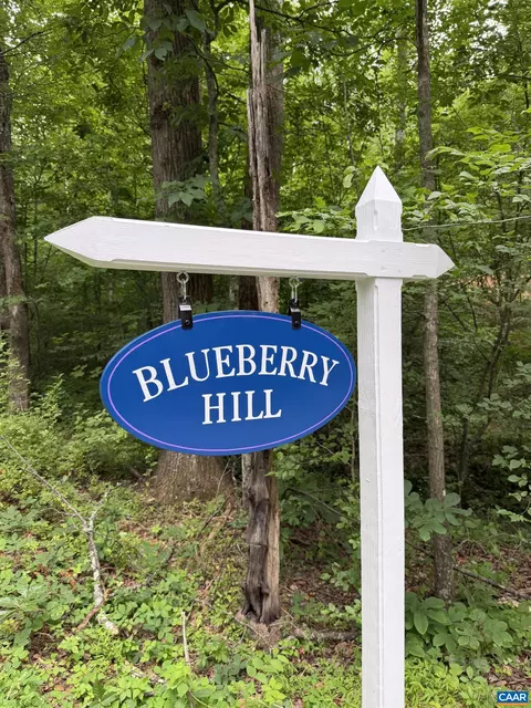 tbd Green Creek Rd, Schuyler, VA 22969