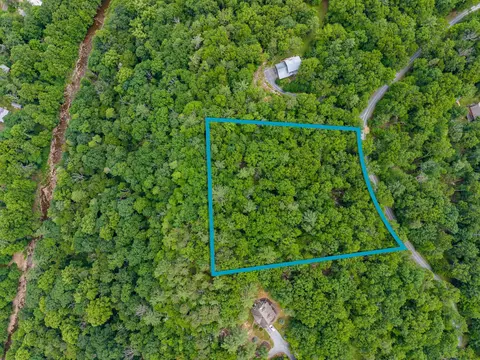 5 Rabbits Foot Rd, Hinton, VA 22831